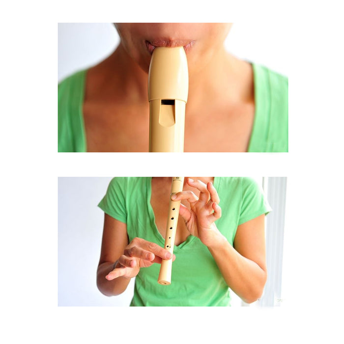 8 Holes Woodnote Ivory Soprano Recorder Flute Baroque Musical Instrument New !