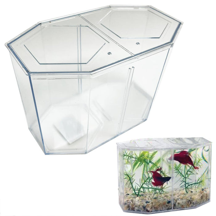 1 Dual Betta Hex Kit Tank Pet Aquatic Fishes Aquarium Habitat Office Home Decor