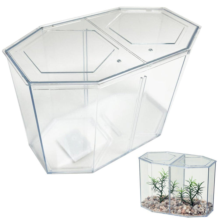 1 Dual Betta Hex Kit Tank Pet Aquatic Fishes Aquarium Habitat Office Home Decor