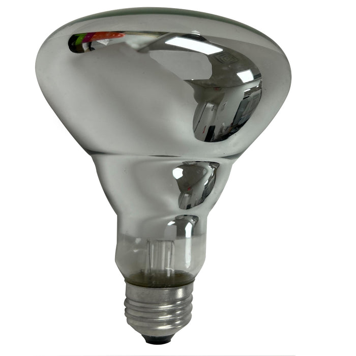 Reflector Flood Light Bulb R30 100w 120v Frost Replacement Lighting Lamp 2500hr