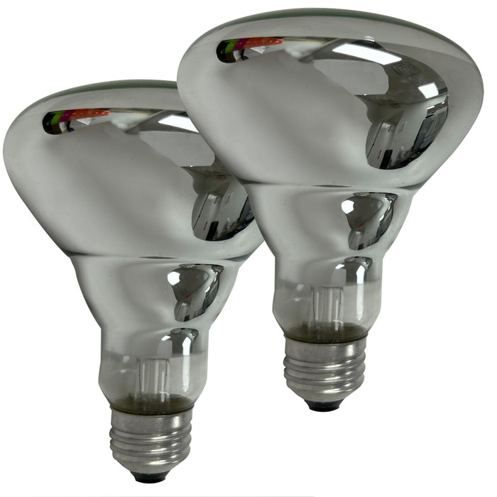 2 Reflector Flood Light Bulb Incandescent R30 120v 100Watt E26 Medium Base Lamp