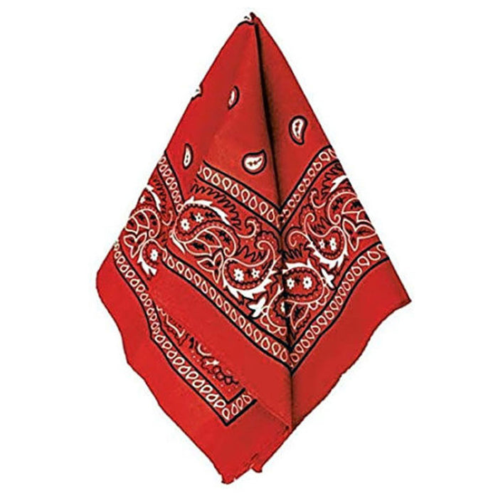 2 Pack Multi-Purpose Bandana Old Western Paisley Scarf Hat Headband Head Wrap