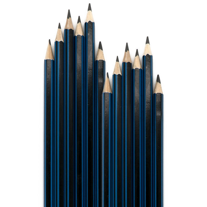 12 Sketching Artist Pencils Drawing Soft Hard Assorted Graphite Graded 6B to 6H