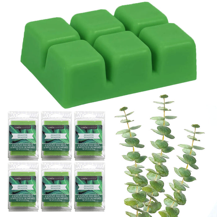 6 Pack Tarts Cube Wax Melts Eucalyptus Scented Fragrance Candle Warmers 2.46oz