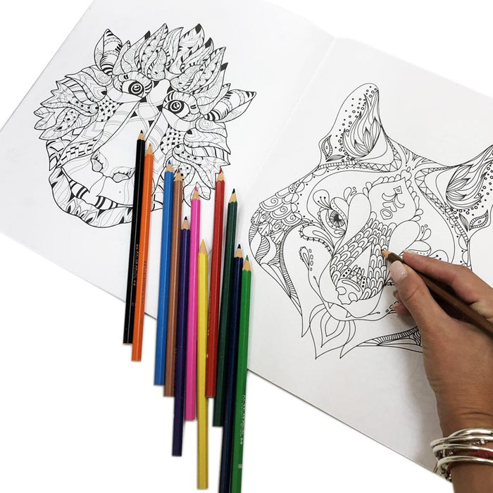 12 Ct Colored Pencils Vibrant Pre-Sharpened Drawing Artist School Kids Coloring