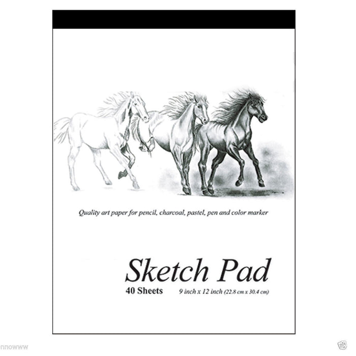 2 Set 9 x 12 Inches 40 Sheets Premium Quality Sketch Book Drawing Paper Pad Art
