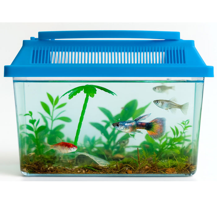 4 Aquarium Mini Fish Tank Plastic Fish Box Breeding Case Shrimp Turtle Goldfish