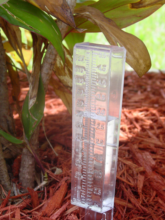 Water Rain Gauge Clear Plastic Weather Garden Accurate Temperature Temp Station