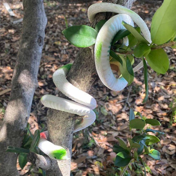 4 X Rubber Snake Realistic Toy Fake Safari Garden Joke Prank Soft Halloween Prop