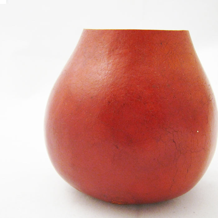 ARGENTINA MATE GOURD CUP TEA STRAW BOMBILLA ORANGE HANDMADE GIFT HERBAL KIT 4101