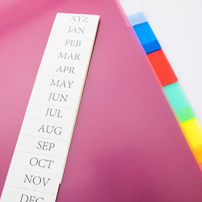 24 X Durable Plastic Binders Dividers Tabs 3 Rings Multicolor Set School Office