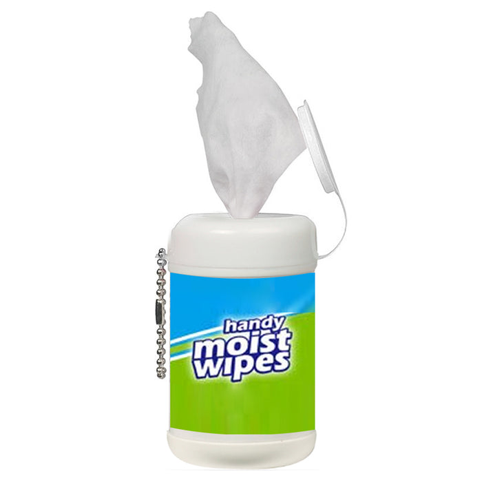 4 Packs Antibacterial Wet Wipes 20 Count Travel Size Sanitizing Wipes Resealable