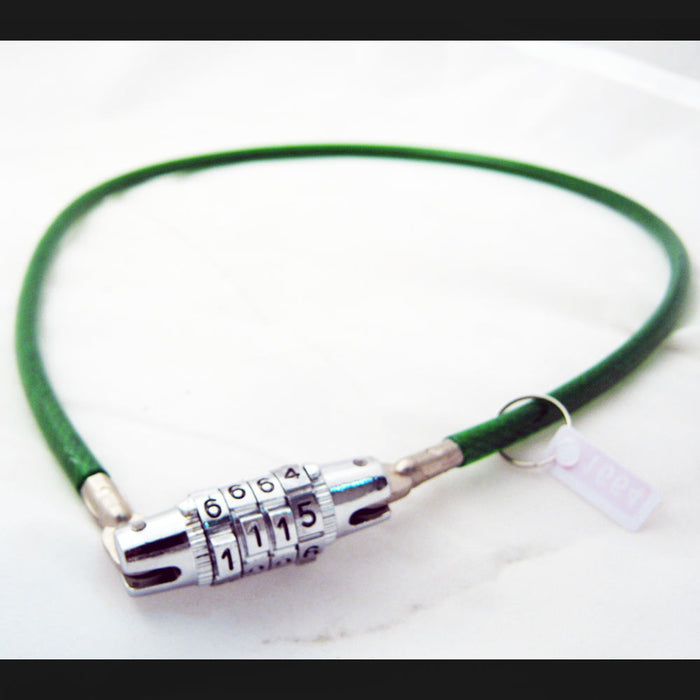 Bicycle Lock Cable Bike Flexible Four Digit Combination Security Wire Gn Rd Bl