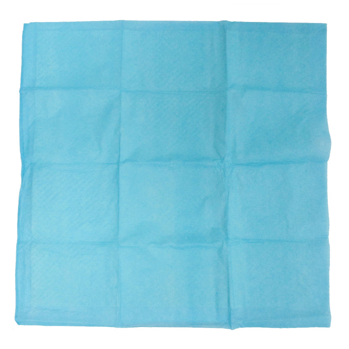 24PC Dog Puppy Training Pads House Heavy Absorbent Pet Pee Piddle Underpad 22.4"