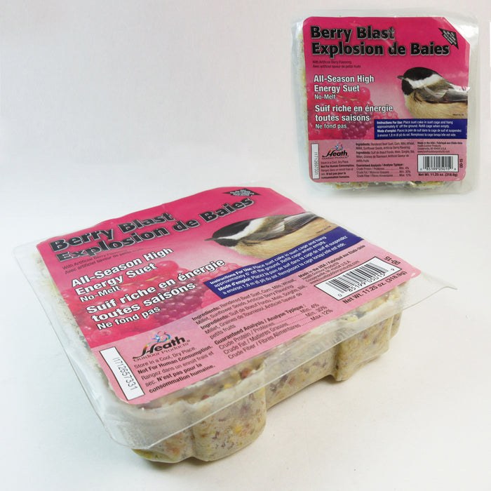 5 Pack All Season Suet Cake Bird Food Heath Outdoor Products Wild Treat 11.25 oz