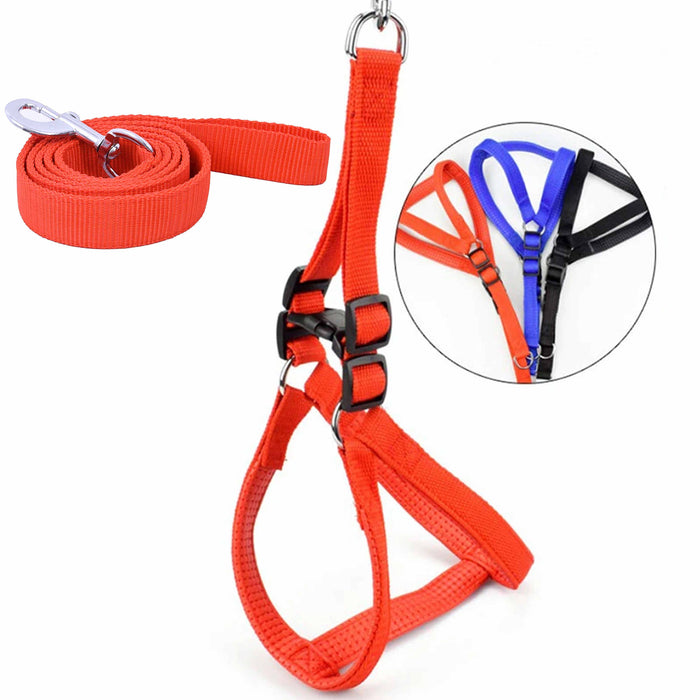 1 Set XL Heavy Duty Dog Harness Leash Cushion Padded Lead Strong Hold Adjustable