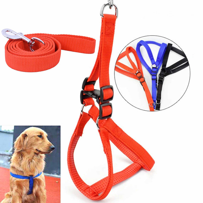 1 Set XXL Dog Harness Leash Adjustable Cushion Padded Lead Vest Hold Heavy Duty