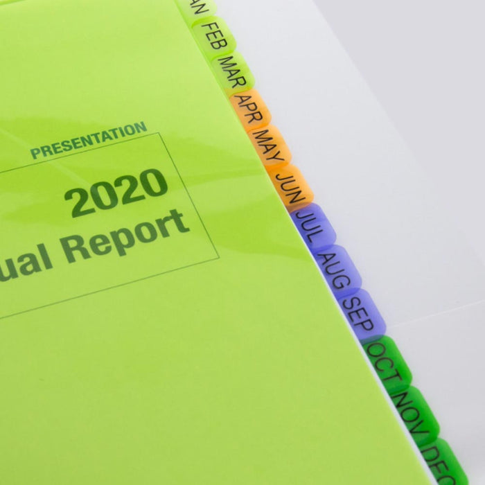 48 Pk Index Dividers Preprinted Jan-Dec 12 Month 3 Ring Binders Multicolor Tabs