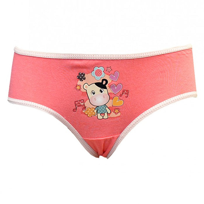 6 Pack Kids Girls Underpants Soft Cotton Panties Child Underwear Short Briefs XL
