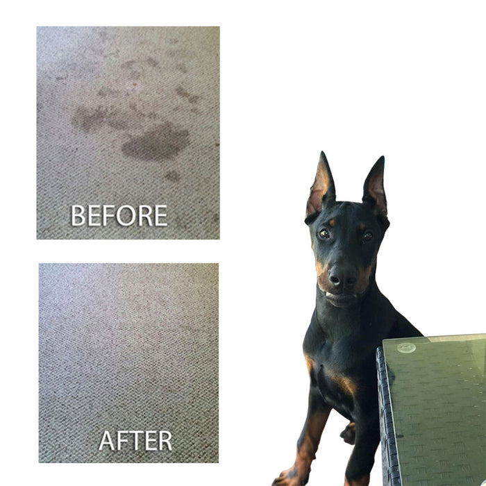 2 Pc Pet Stain Odor Remover Dog Cat Urine Cleaner Eliminator Surfaces Spray 24oz