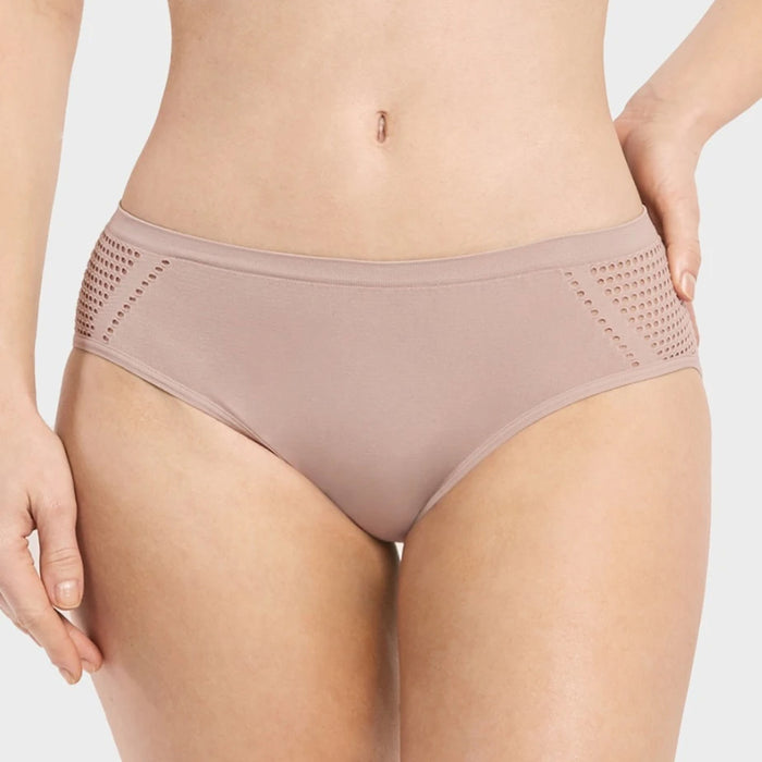 6 Womens Sexy Underwear Mesh Net Bikini Panties Ladies Seamless Hipster Panty