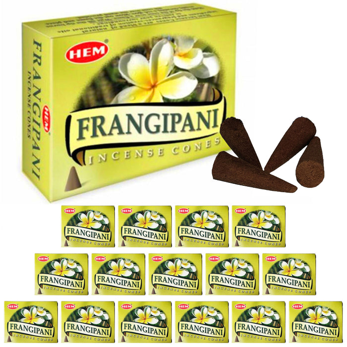 160 Backflow Burner Hem Incense Cones Smoke Frangipani Plumeria Flower Fragrance