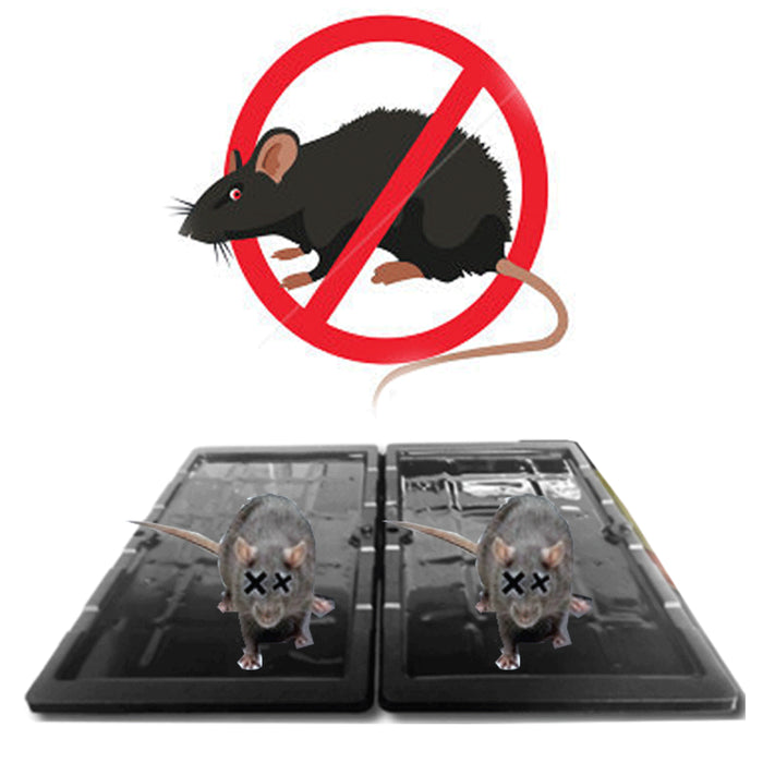 4 Pc Glue Sticky Trap Rat Mouse Snake Trays Peanut Scent Pest Control 8" x 4.5"