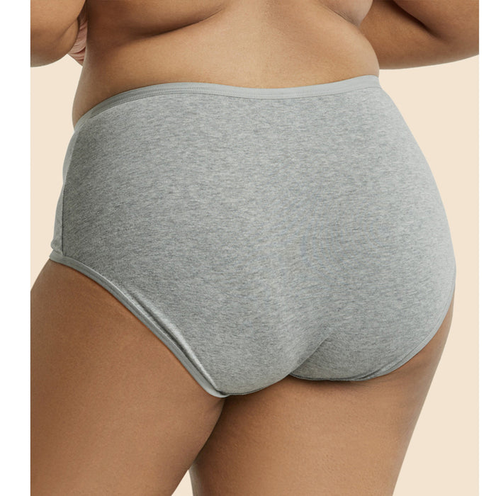 6 Women Plus Size Underwear Briefs Panties Bikini Full Coverage 2XL Cotton Solid