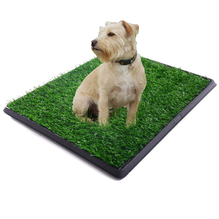 Dog Puppy Indoor Potty Pad Rug Training Grass Patch Toilet Mat Tray 20" x 25"