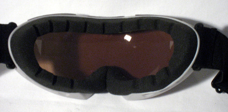 Winter Sport Goggles Snow Ski Snowboard Glasses Skiing Sun Double Lens Eyewear
