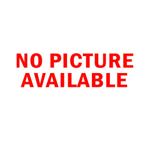 TELESPY TELEPHONE MOTION SENSOR ALARM SECURITY INTRUDER New