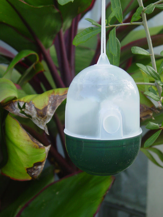 Hanging Wasp Yellowjacket Trap No Poison Chemicals Free Bee Bug Catcher Insects